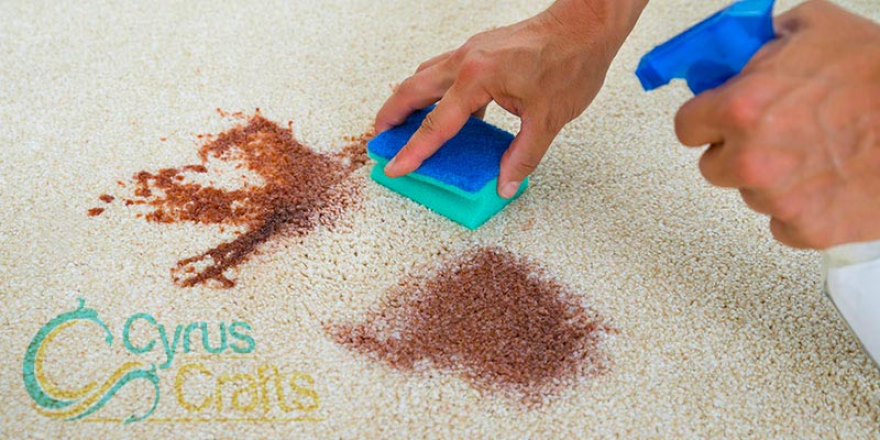 remove any stain from carpets