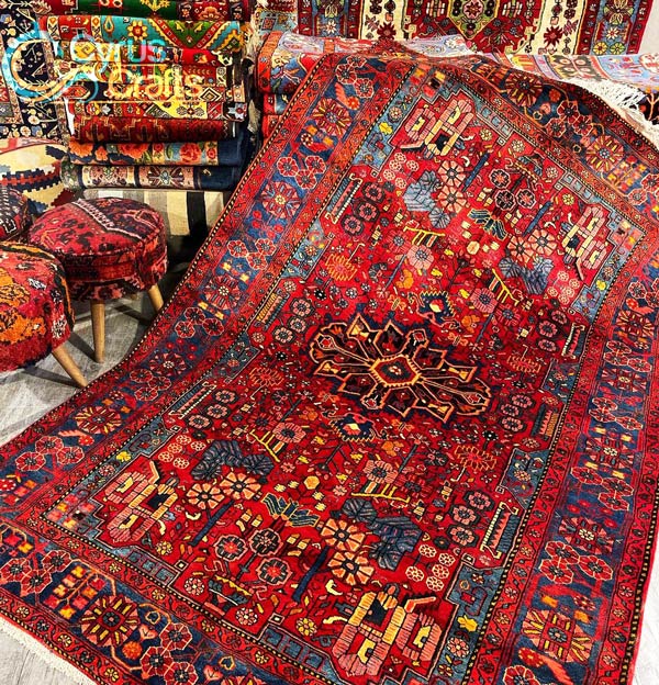 Are silk rugs more expensive than wool?
