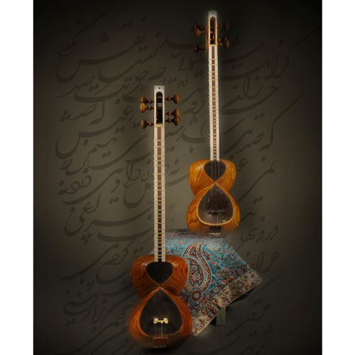 Persian tar musical instrument