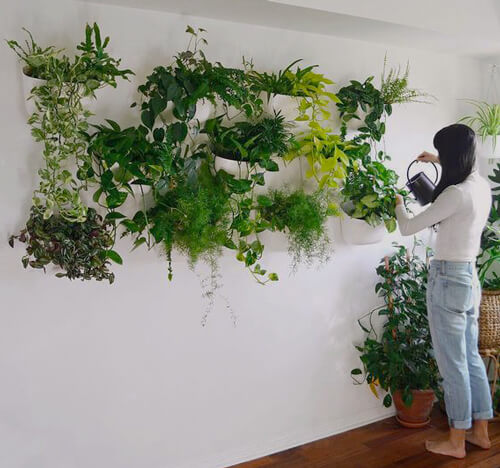hang plants on wall