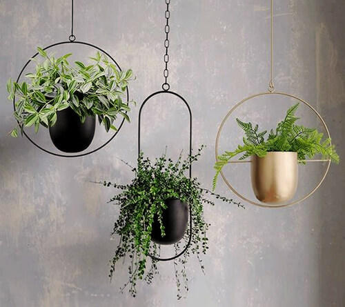 hanging planters