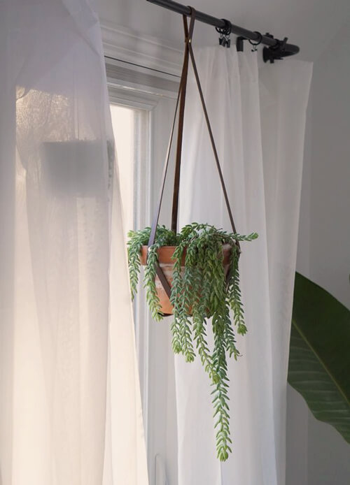 how to hang plants