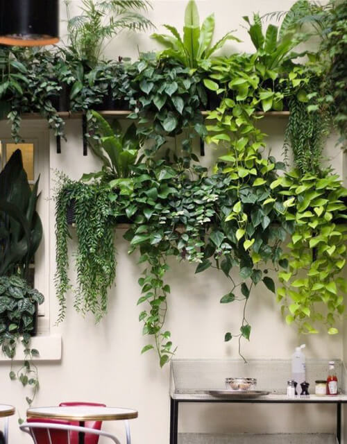 outdoor wall hanging planters