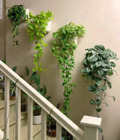 wall hanging planters for staircase