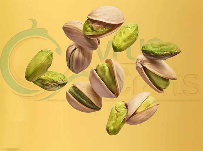 wholesale of Iranian pistachios
