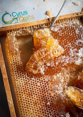 organic honey in Canada and United States
