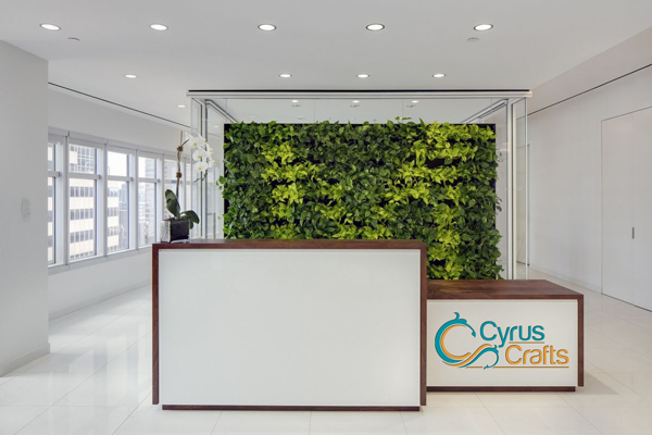 green and attractive plants to work office
