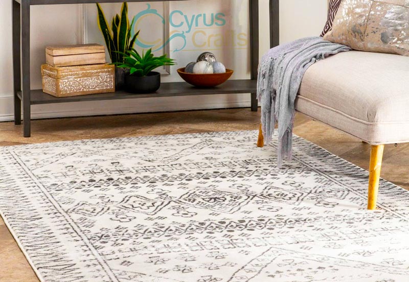 4 x 6 rugs