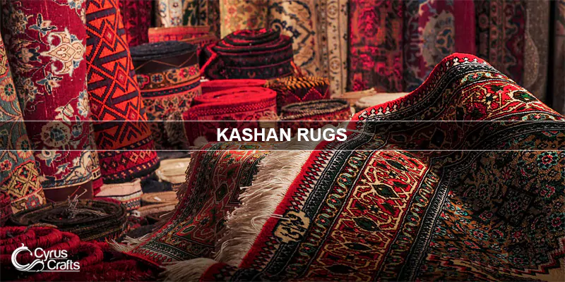 kashan rugs