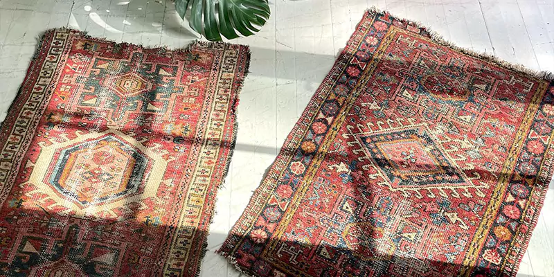 rare and unique rugs
