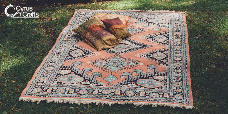 outdoor carpets - outdoor rugs