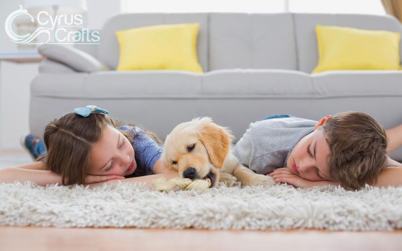 White fluffy rug