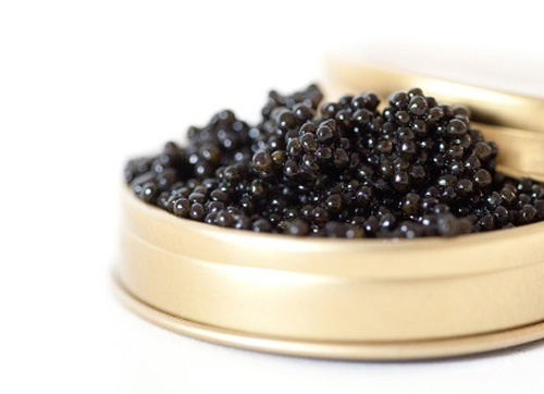 beluga imperial caviar Ta-857