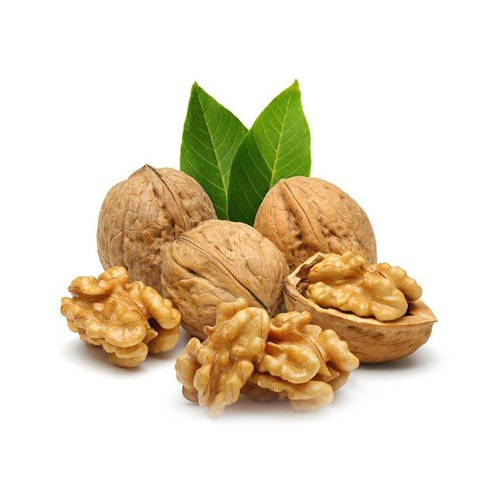 walnut-in-shell