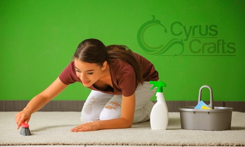 How To Get Every Stain Out Of A Carpet: Remove Any carpet stain