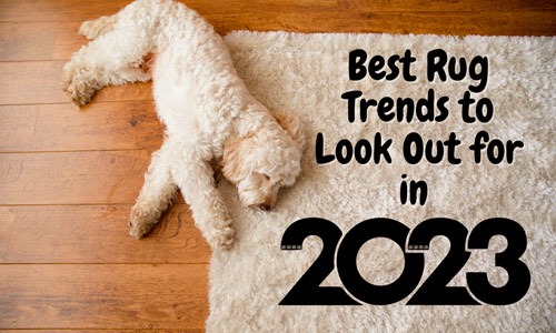 Best Rug Trend 2023