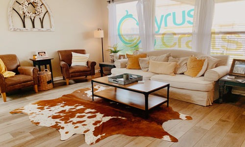 Everything You Need to Know About Cowhide Rugs