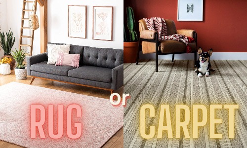 What'S the Difference between Carpet And Rug  