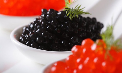 Caviar Color: What Is the Significance of Color in Caviar?