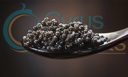 Sevruga Caviar: Everything About Sevruga Caviar