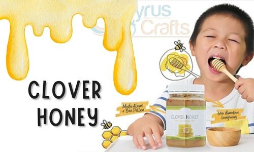 Clover Honey: What Is Clover Honey Benefits?