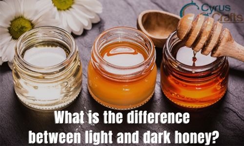 Dark Honey: What is the difference between light and dark honey?