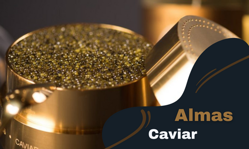 Almas Caviar: All About the Most Expensive Caviar in the World